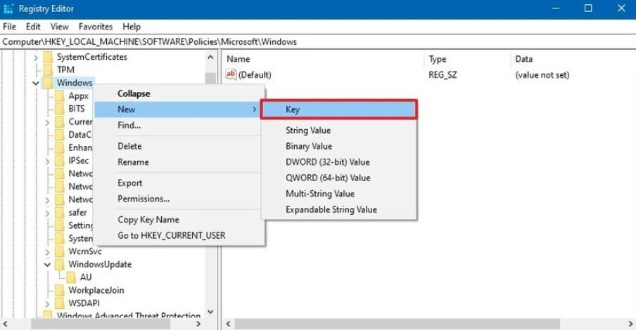 Gambar Registry (HKEY_LOCAL)- Cara Mematikan Update Windows 10