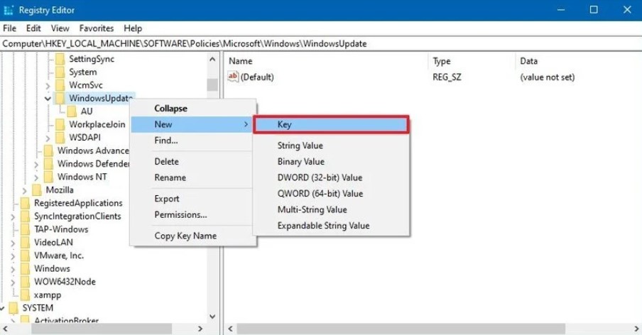 Gambar Registry (WindowsUpdate)- Cara Mematikan Update Windows 10