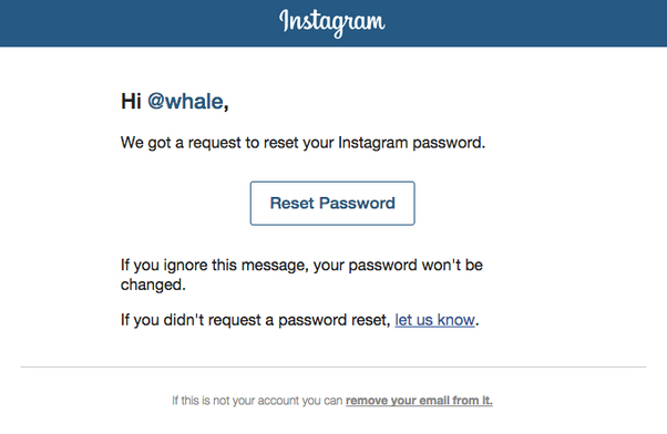 lupa password instagram username