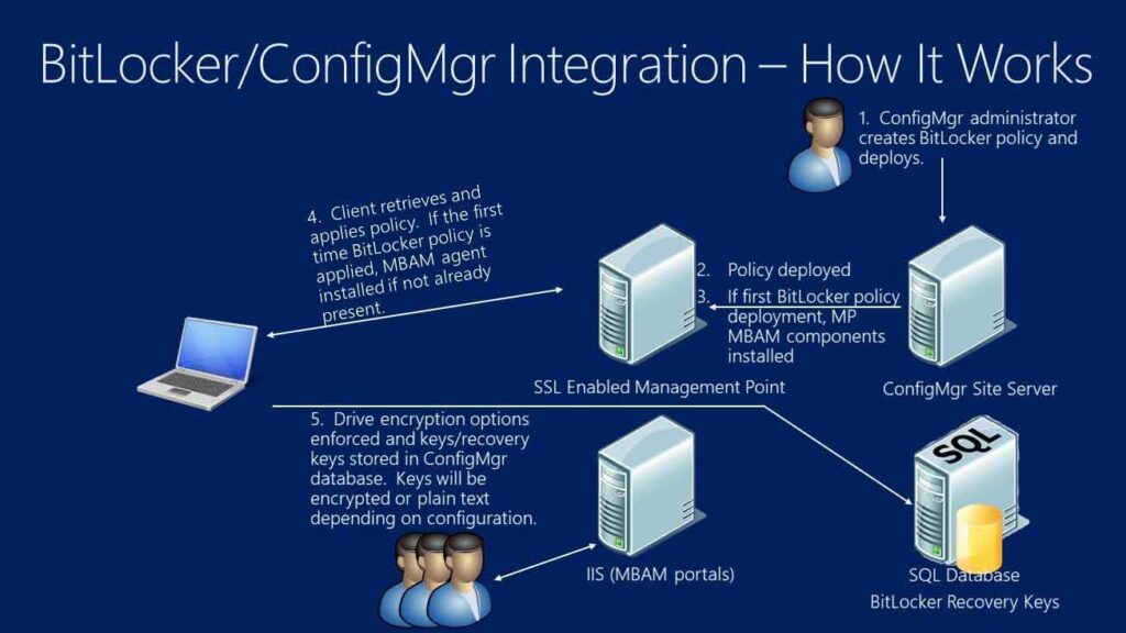 perbedaan windows 10 enterprise dan pro